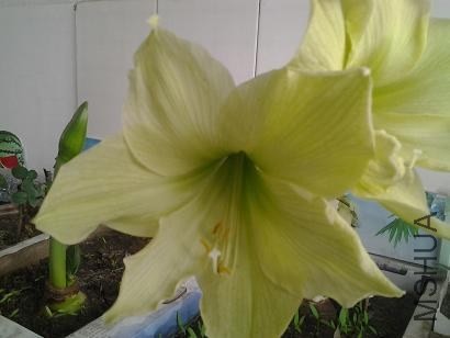 20130413_145615.jpg