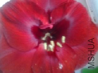 20130421_074548.jpg