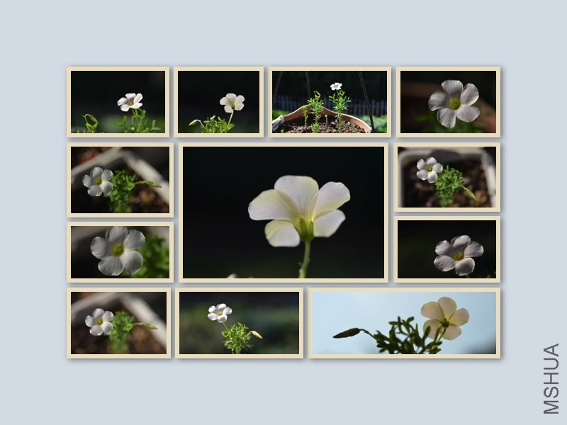 ��Y 20130930 001.jpg