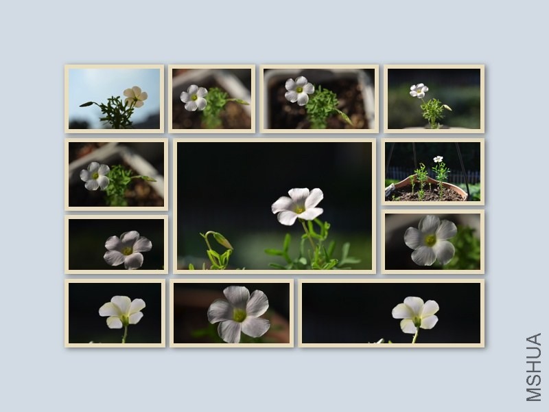 ��Y 20130930 002.jpg