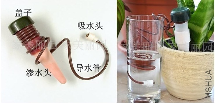 �Զ�������