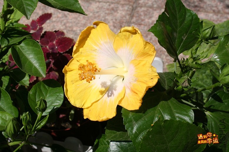 ��Ƭ 003_����.jpg