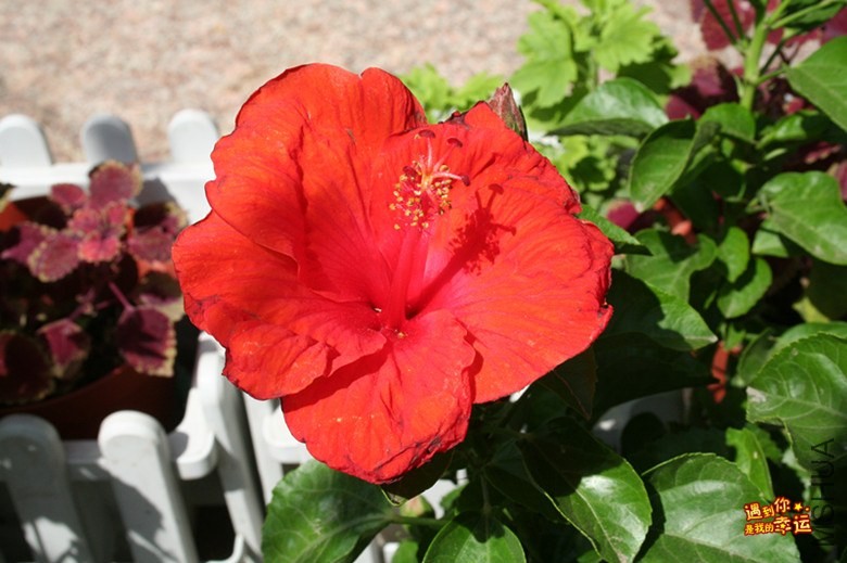 ��Ƭ 006_����.jpg