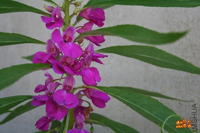 ��Ƭ 033_����.jpg