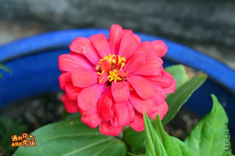 ��Ƭ 058_����.jpg