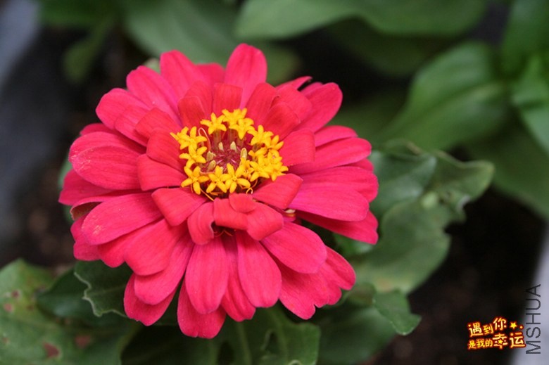 ��Ƭ 059_����.jpg