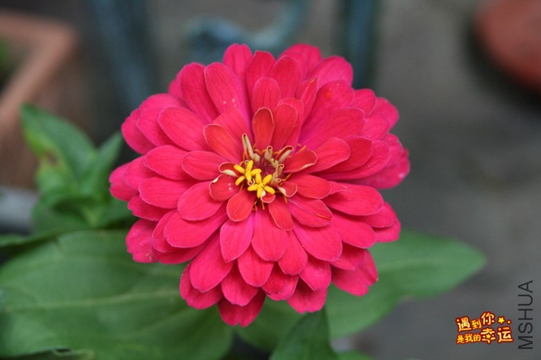 ��Ƭ 060_����.jpg