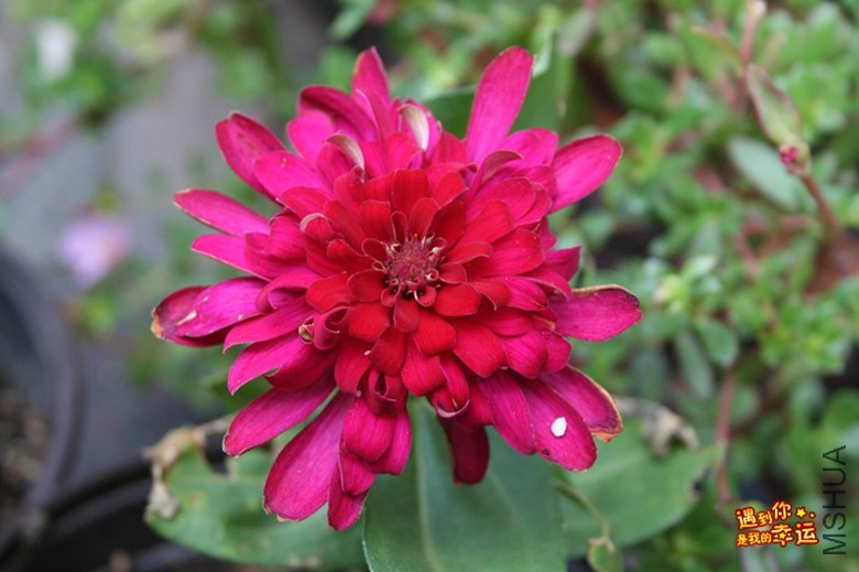 ��Ƭ 061_����.jpg