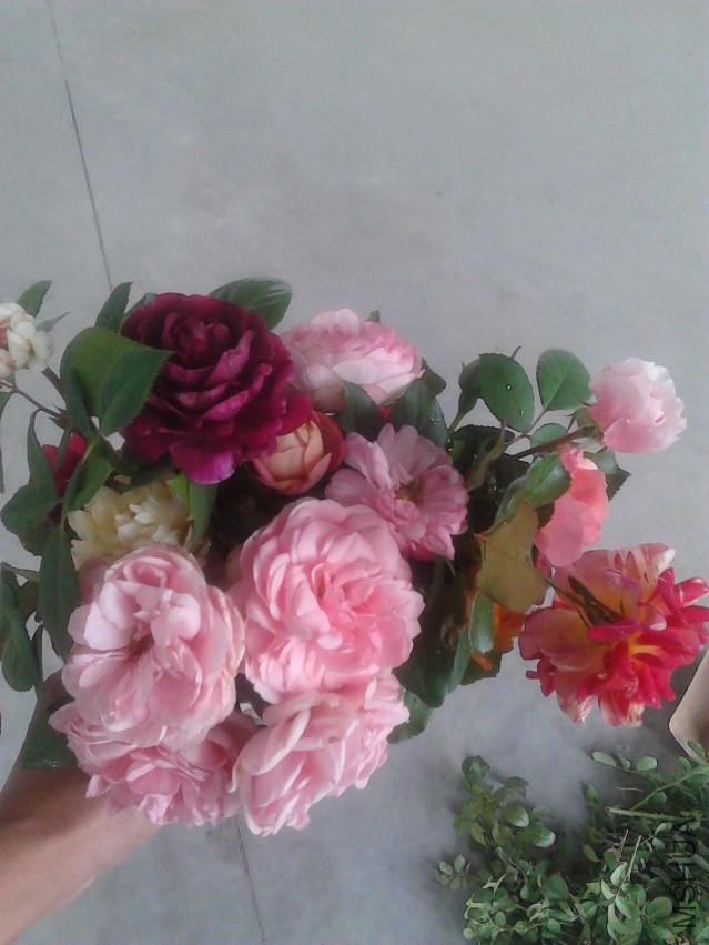 IMG_20130930_125122.jpg