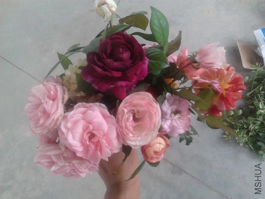 IMG_20130930_125213.jpg