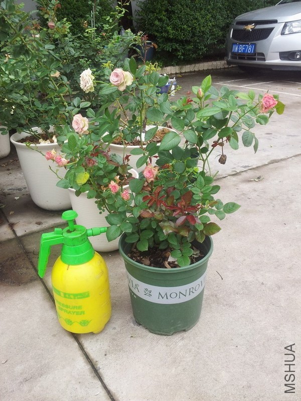 20130908_145347.jpg