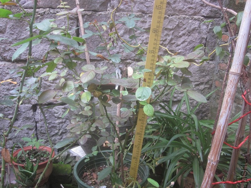 ��Ƭ 023_����.jpg