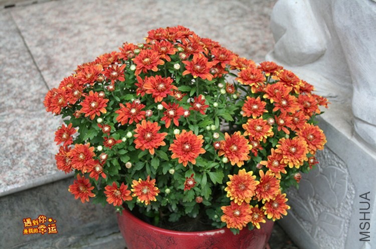 ��Ƭ 039_����.jpg