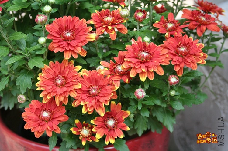 ��Ƭ 040_����.jpg