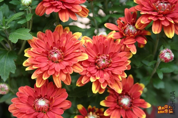 ��Ƭ 042_����.jpg