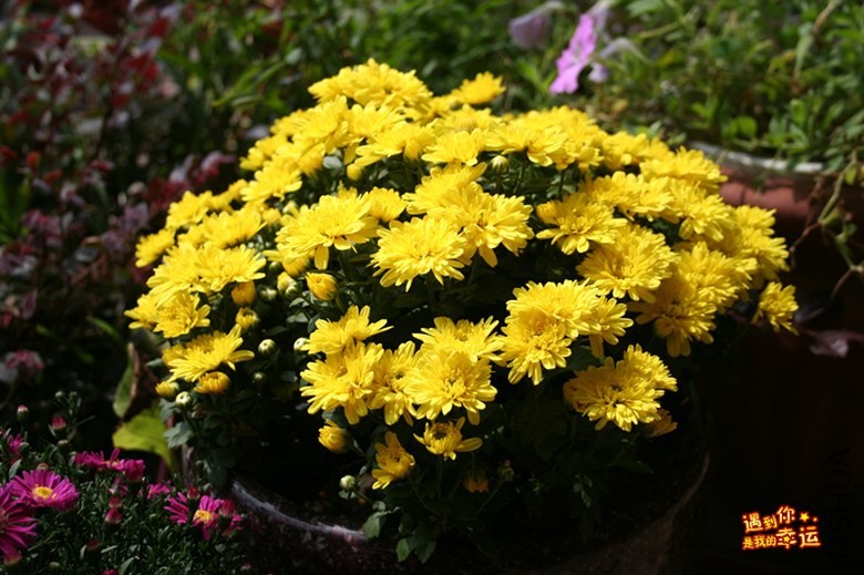 ��Ƭ 043_����.jpg