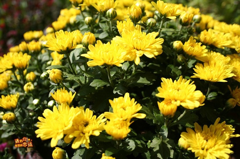 ��Ƭ 044_����.jpg