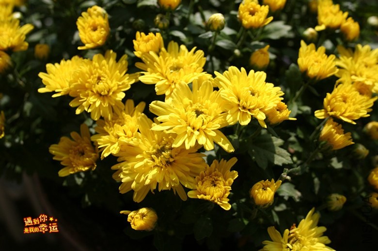 ��Ƭ 045_����.jpg