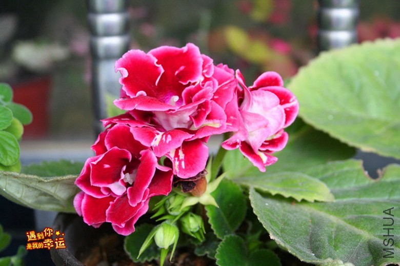 ��Ƭ 213_����.jpg