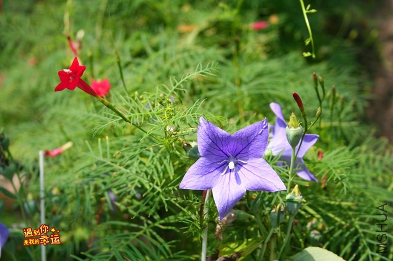 ��Ƭ 209_����.jpg