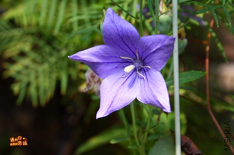 ��Ƭ 211_����.jpg