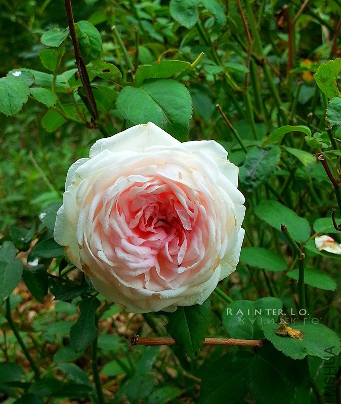 20131001_094508.jpg