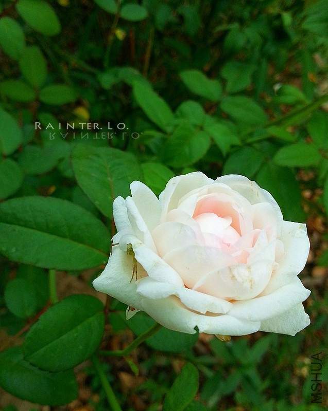 20131001_094553.jpg