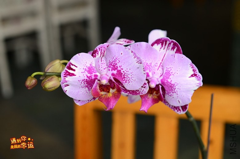 ��Ƭ 078_����.jpg