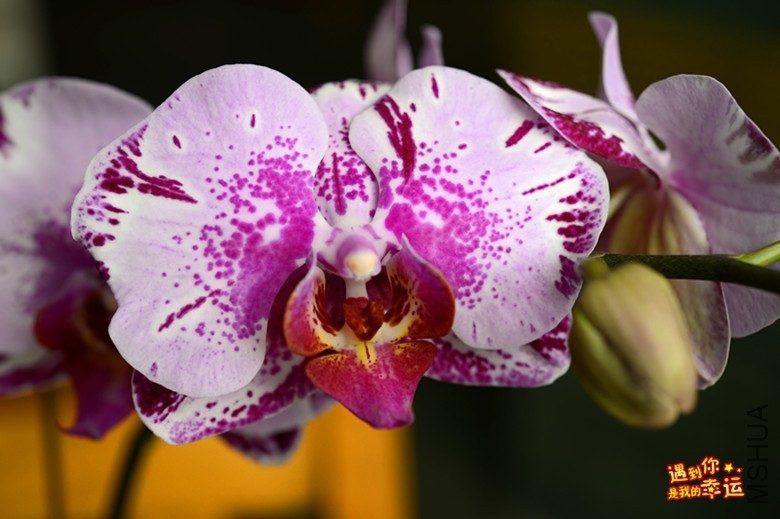 ��Ƭ 079_����.jpg