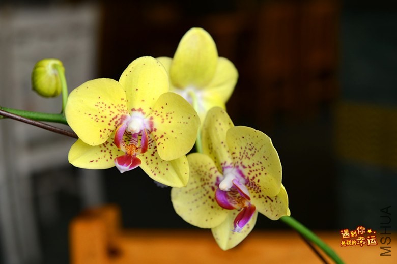 ��Ƭ 081_����.jpg