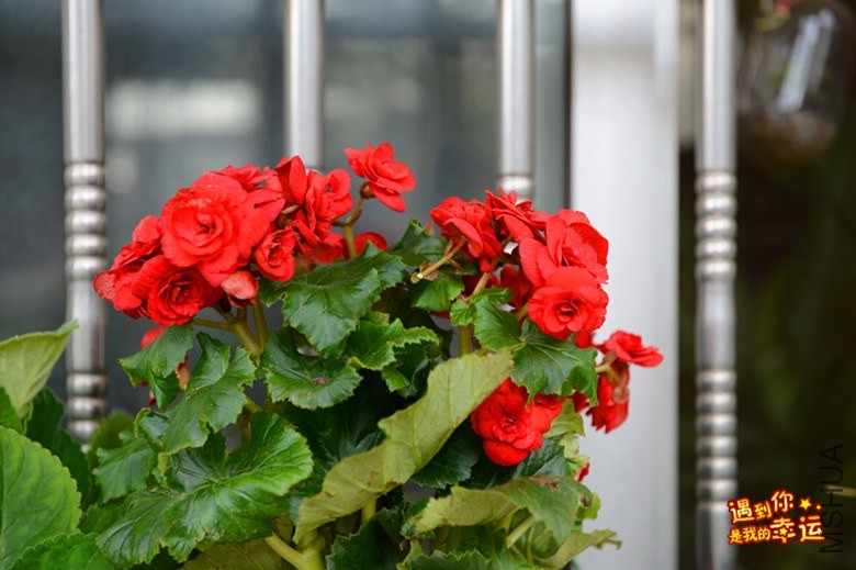 ��Ƭ 037_����.jpg