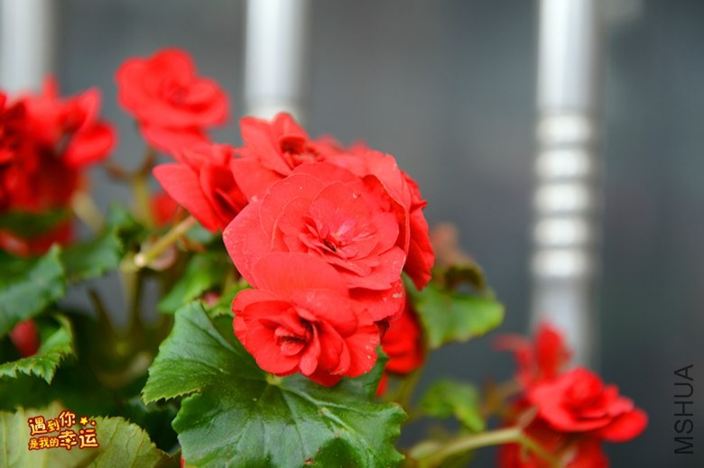 ��Ƭ 039_����.jpg