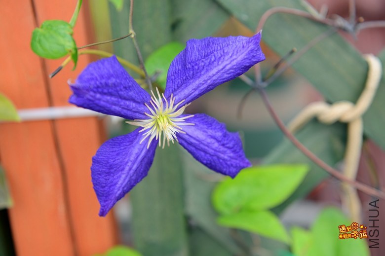 ��Ƭ 015_����.jpg