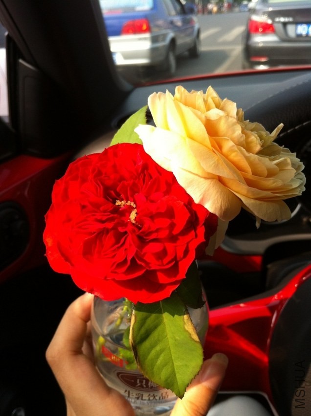 2013.10.2.JPG