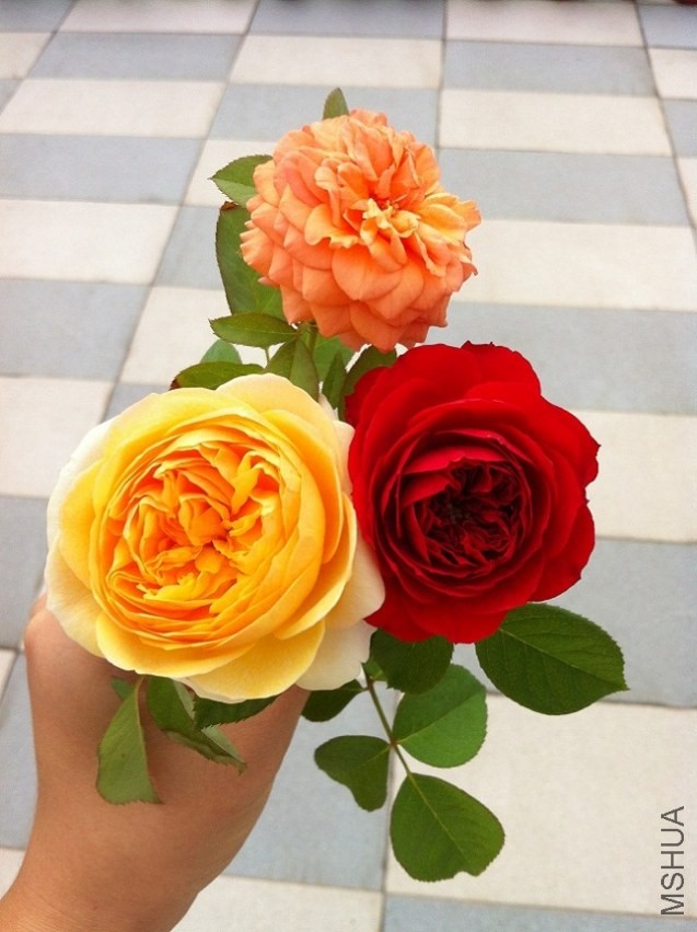 2013.10.1.JPG