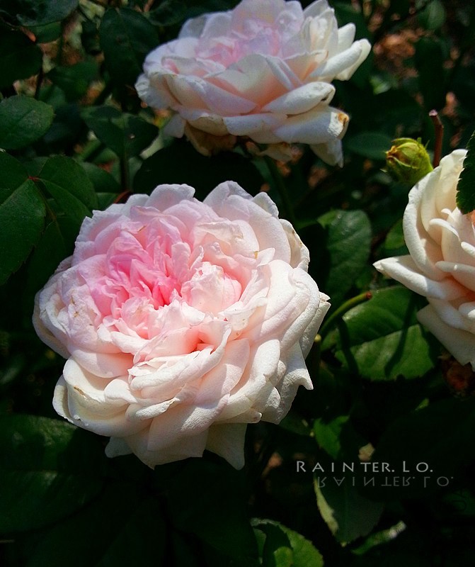20131003_092427.jpg