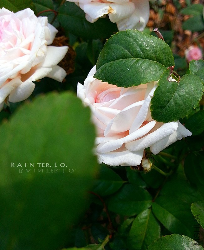 20131003_092501.jpg