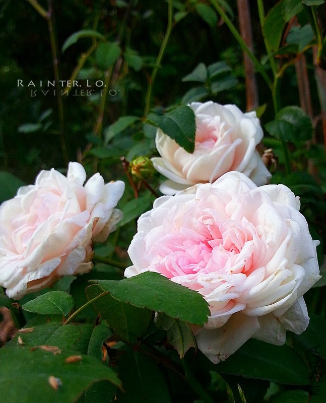 20131003_092616.jpg