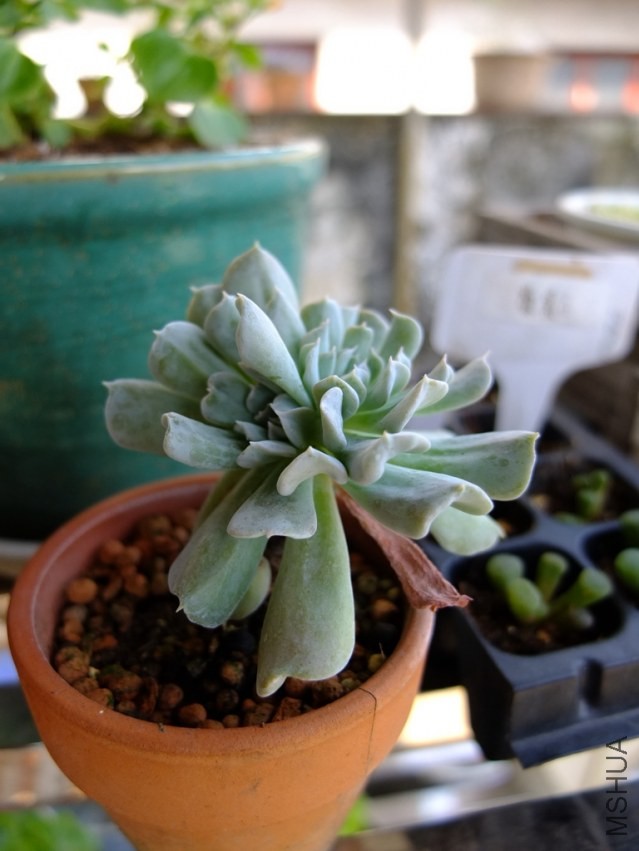 ��Ƭ 049.jpg
