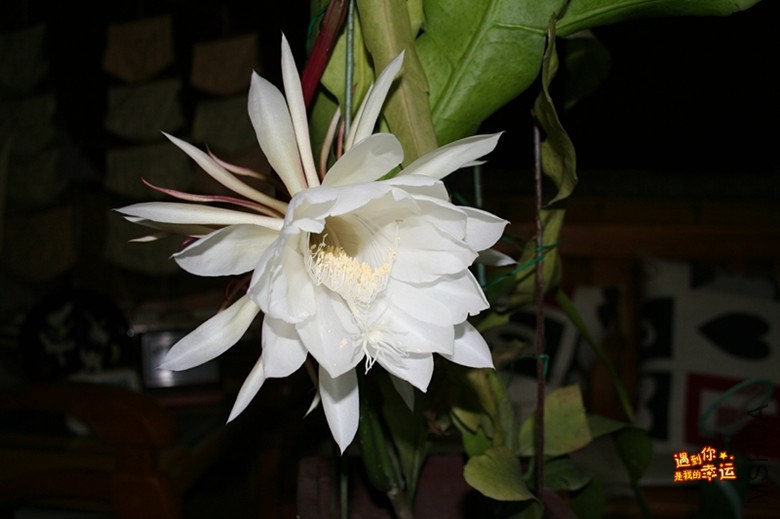 ��Ƭ 003_����.jpg