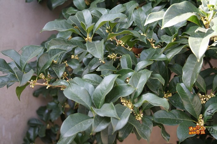 ��Ƭ 019_����.jpg