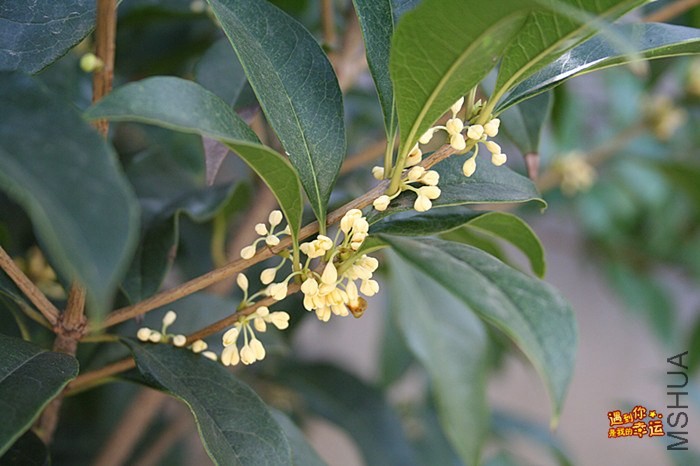 ��Ƭ 022_����.jpg