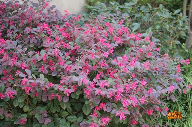 ��Ƭ 024_����.jpg