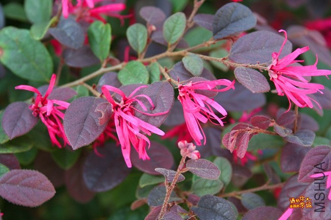 ��Ƭ 025_����.jpg