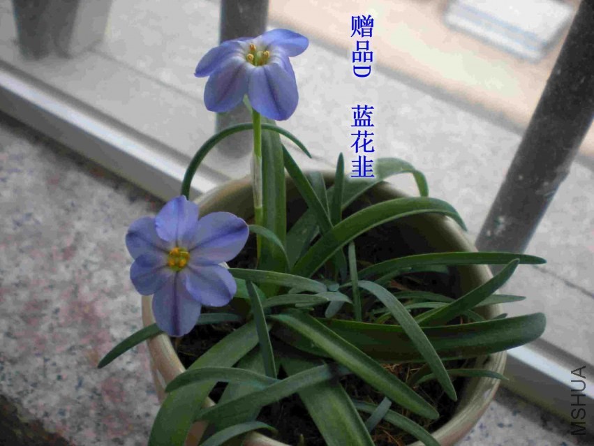 DSCN1556_����.jpg
