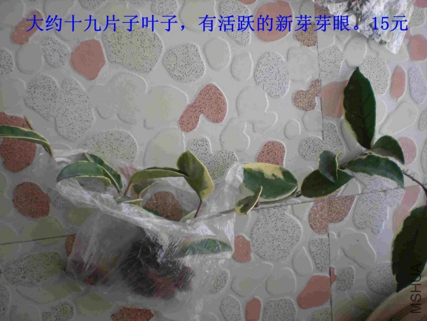 DSCN1679.JPG