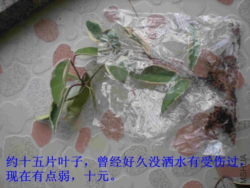 DSCN1680.JPG