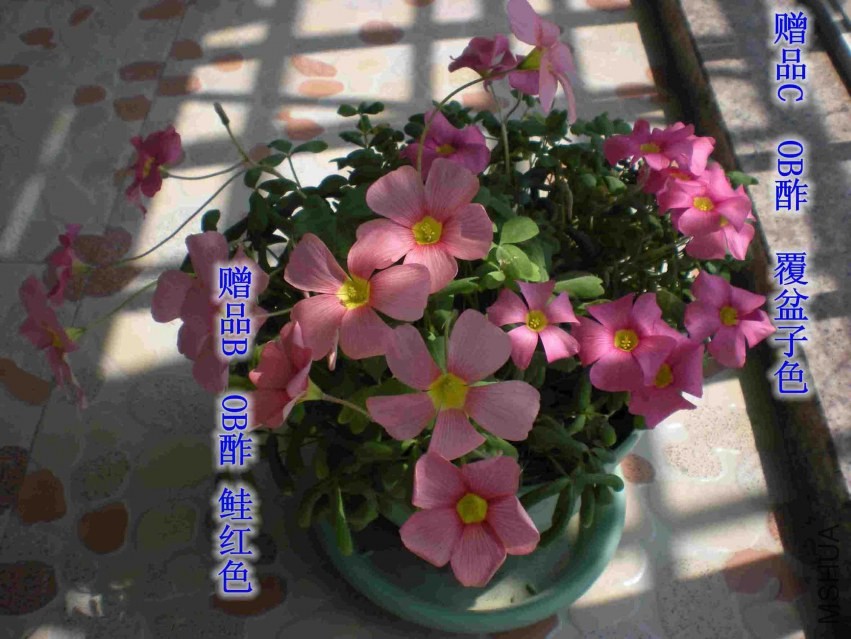 DSCN1540_����.jpg