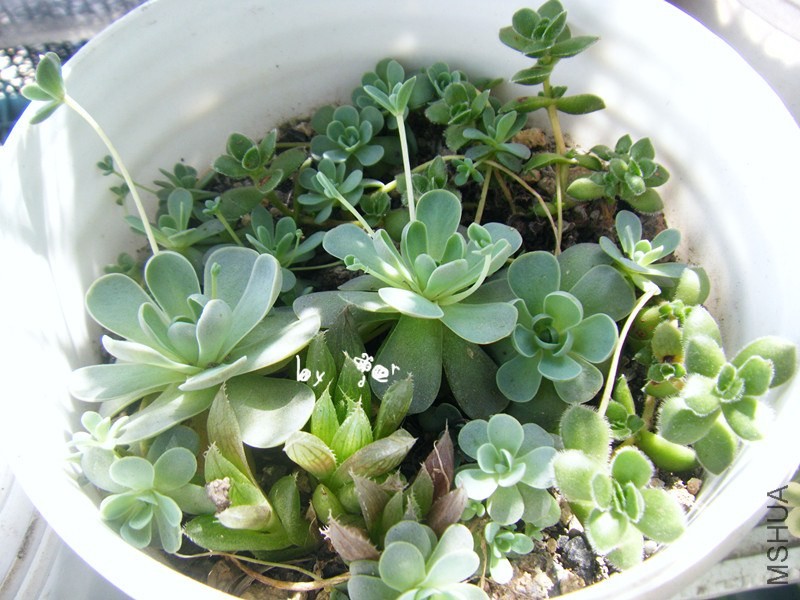DSCF9175_����.jpg