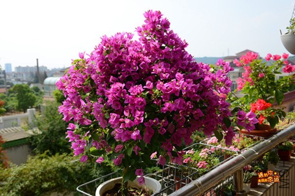 ��Ƭ 024_����.jpg